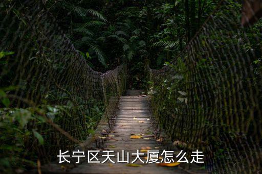 長寧區天山大廈怎么走
