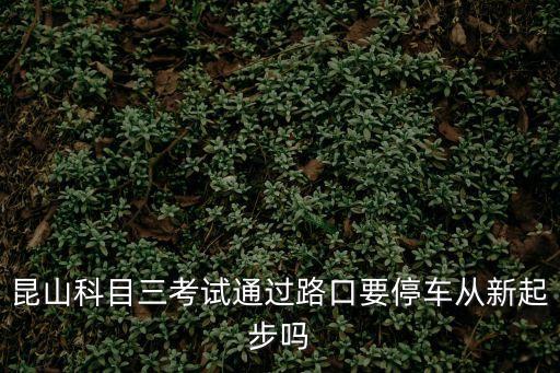 上海市小昆山科三2號線視頻，成功駕校科三視頻考試2號線邙山