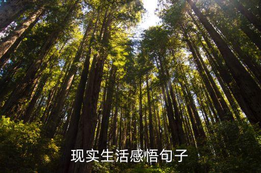 人生感悟一段很現(xiàn)實的話，現(xiàn)實生活感悟句子