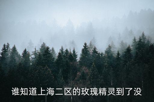 上海市精靈，誰知道上海二區(qū)的玫瑰精靈到了沒