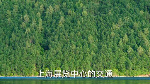上海市道路運輸事業中心朱華勇，上海市交通