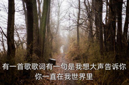 有一首歌歌詞有一句是我想大聲告訴你你一直在我世界里