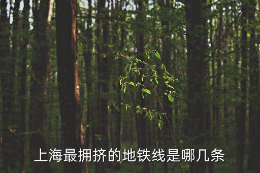 上海最擁擠的地鐵線是哪幾條
