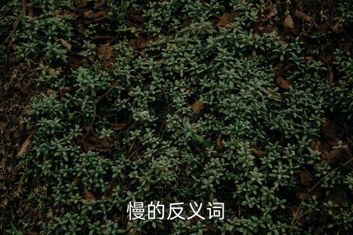 慢的反義詞