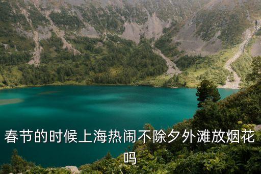 春節的時候上海熱鬧不除夕外灘放煙花嗎