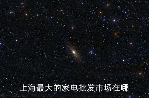 上海最大的家電批發市場在哪