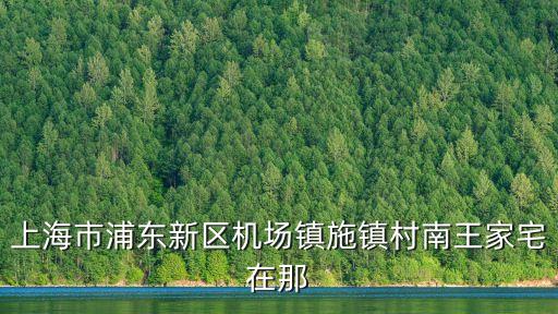 王家宅上海市浦東新區(qū)，上海市浦東新區(qū)機場鎮(zhèn)施鎮(zhèn)村南王家宅在那
