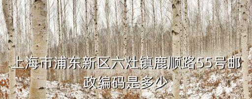 上海市浦東新區(qū)六灶鎮(zhèn)鹿順路55號郵政編碼是多少