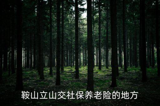 鞍山立山交社保養老險的地方