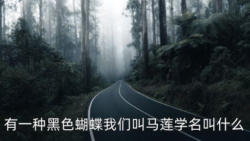 有一種黑色蝴蝶我們叫馬蓮學名叫什么