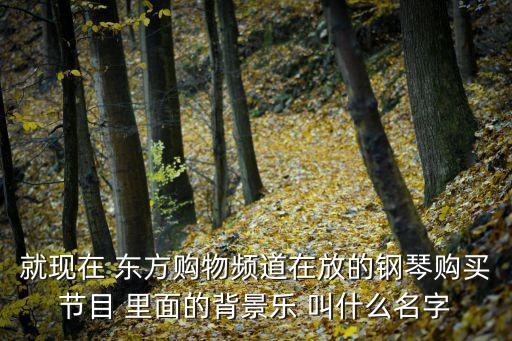 就現(xiàn)在 東方購物頻道在放的鋼琴購買節(jié)目 里面的背景樂 叫什么名字