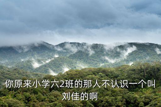 上海市新北郊劉佳，你原來小學六2班的那人不認識一個叫劉佳的啊