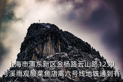 上海市溪雨觀，上海泌尿科醫(yī)院哪家好 上海城市這么大好的泌尿科在哪