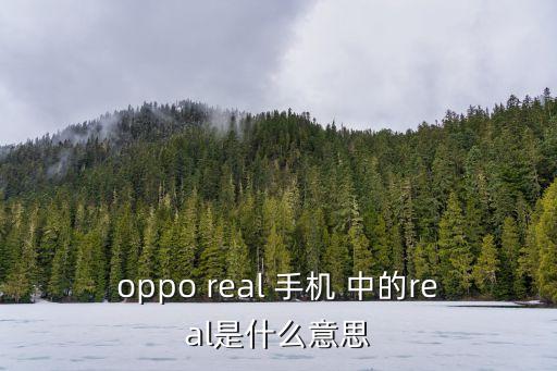 oppo real 手機 中的real是什么意思
