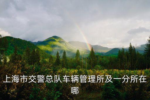 上海市車管所地址一覽表，上海市交警總隊車輛管理所及一分所在哪
