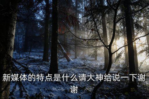 新媒體的特點是什么請大神給說一下謝謝