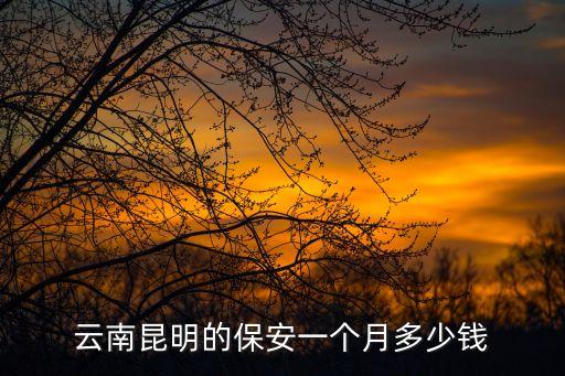 云南昆明的保安一個月多少錢