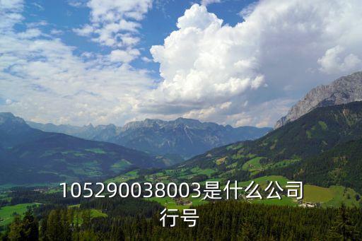 中國建設銀行上海市金茂支行行號，我想知道中國建設銀行上海分行的CNAPS CODE