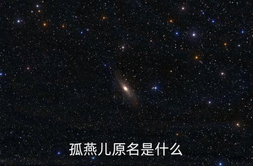 孤燕兒原名是什么