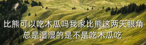 比熊可以吃木瓜嗎我家比熊這兩天眼角總是濕濕的是不是吃木瓜吃