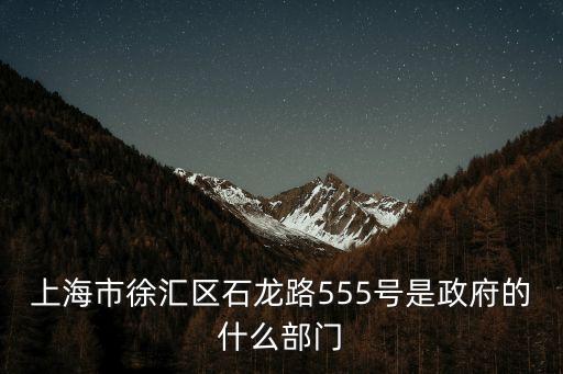 上海市徐匯區石龍路555號是政府的什么部門