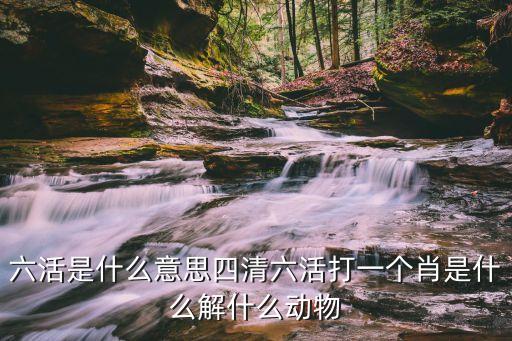 六活是什么意思四清六活打一個(gè)肖是什么解什么動(dòng)物