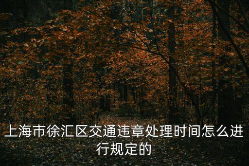 上海市徐匯區交通違章處理時間怎么進行規定的