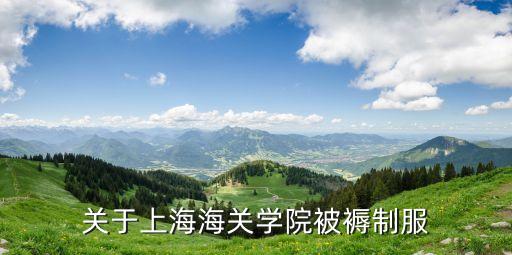 上海市海關學院校服，上海海關學院入學后是否著海關制服