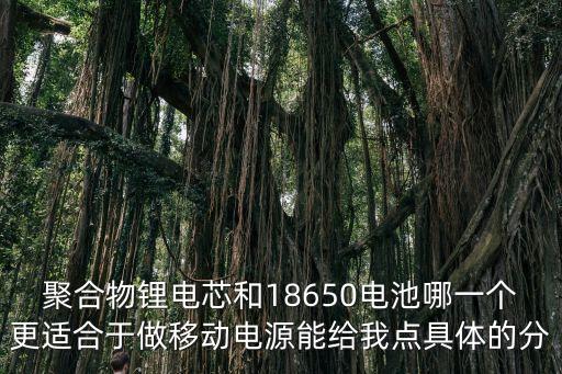 上海市鋰聚合物電芯，鋰聚合物電池生產(chǎn)廠家