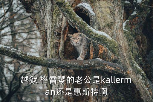 越獄 格雷琴的老公是kallerman還是惠斯特啊