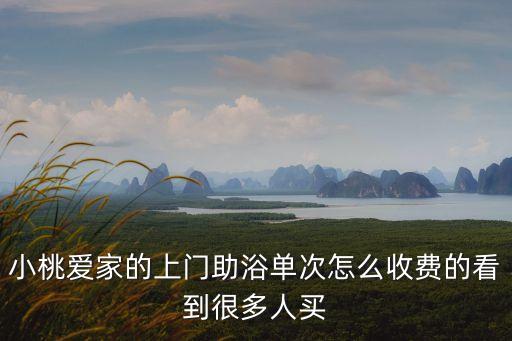 小桃愛家的上門助浴單次怎么收費的看到很多人買