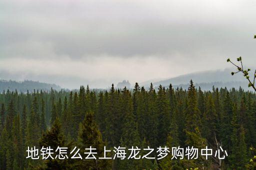 上海市龍之夢負一樓，上海哪里有美圖手機體驗館實體店
