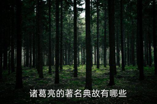 諸葛亮的著名典故有哪些