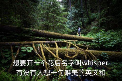 想要開(kāi)一個(gè)花店名字叫whisper有沒(méi)有人想一句唯美的英文和