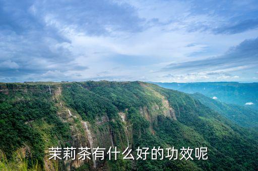 茉莉花茶有什么功效，茉莉花茶的功效與作用
