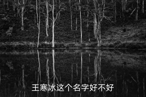 王寒冰，請回答至少3對聯(lián)盟情侶