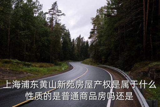 上海市黃山小區，上海浦東黃山新苑房屋產權是屬于什么性質的是普通商品房嗎還是