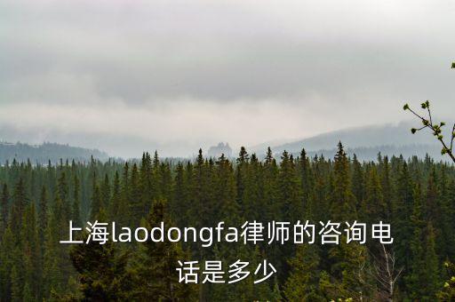 上海laodongfa律師的咨詢電話是多少