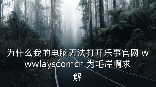 為什么我的電腦無法打開樂事官網(wǎng) wwwlayscomcn 為毛岸啊求解