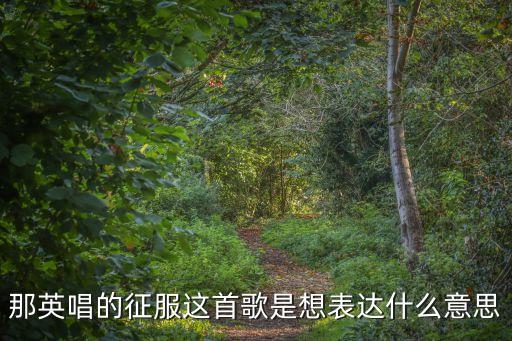那英唱的征服這首歌是想表達什么意思