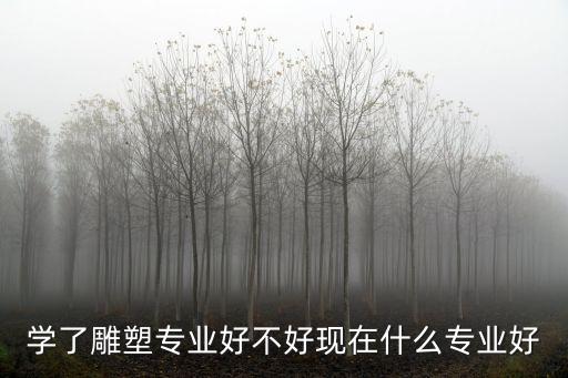 學了雕塑專業好不好現在什么專業好