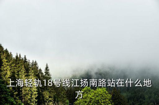 上海市江航南路，上海輕軌18號線江揚南路站在什么地方