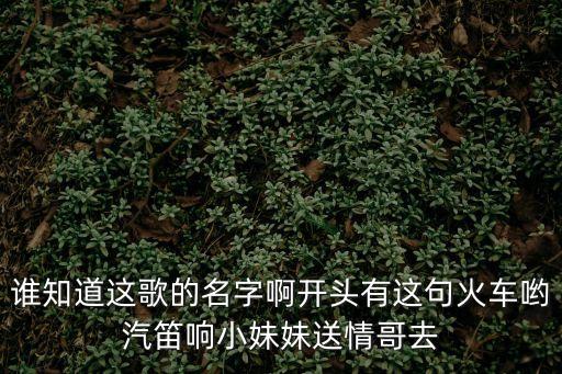 誰知道這歌的名字啊開頭有這句火車喲汽笛響小妹妹送情哥去