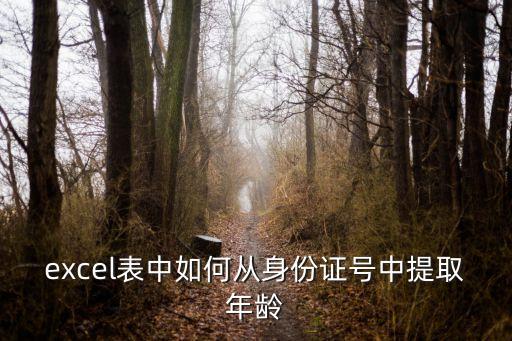 excel表中如何從身份證號中提取年齡