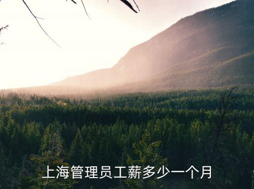 上海管理員工薪多少一個(gè)月