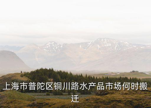 上海市場(chǎng)外遷規(guī)劃，上海市普陀區(qū)銅川路水產(chǎn)品市場(chǎng)何時(shí)搬遷