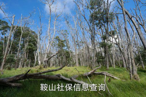 鞍山社保，鞍山社保信息查詢
