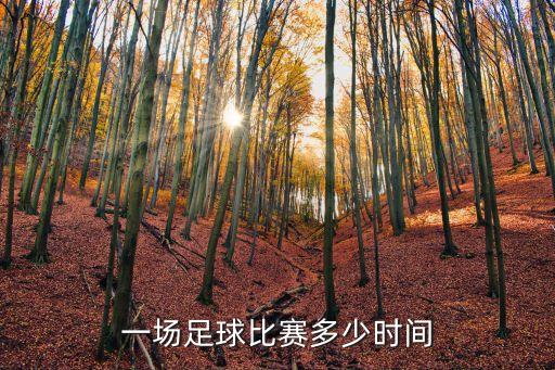 上海市第四屆市直機關五人制足球賽決賽，為什么上港申花出戰足協杯決賽輸不起