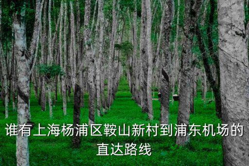上海市楊浦阜新菜市場鞍山新村，上海虹橋站到楊浦鞍山新村坐動車怎么去