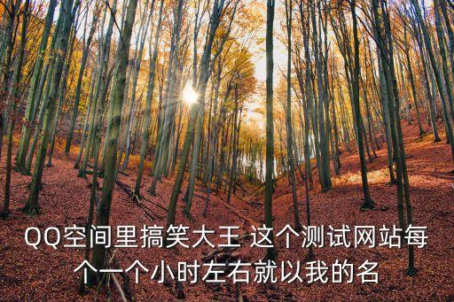 搞笑大王，QQ空間里搞笑大王 這個測試網站每個一個小時左右就以我的名